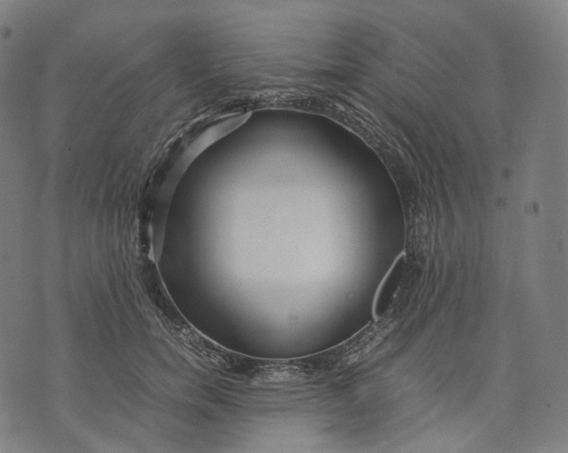 X0000074210750200609151556