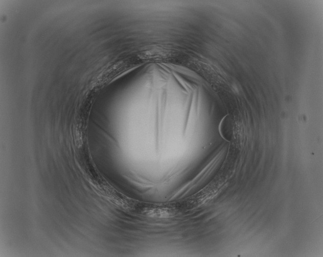 X0000074210751200609151556