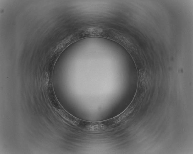 X0000074210752200609151556