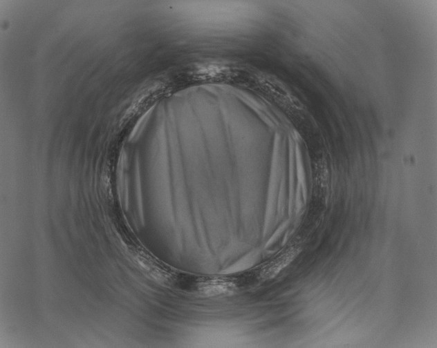 X0000074210754200609151556