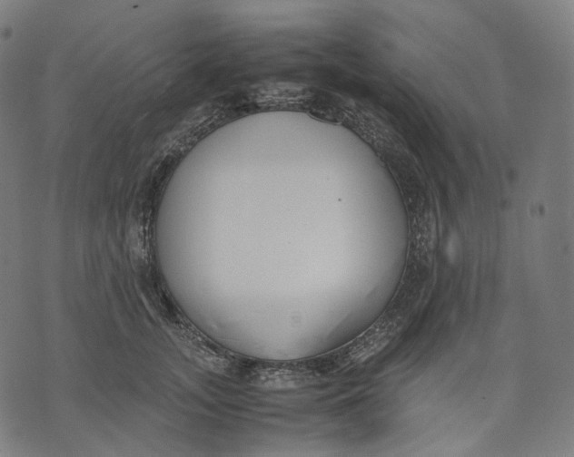 X0000074210755200609151556