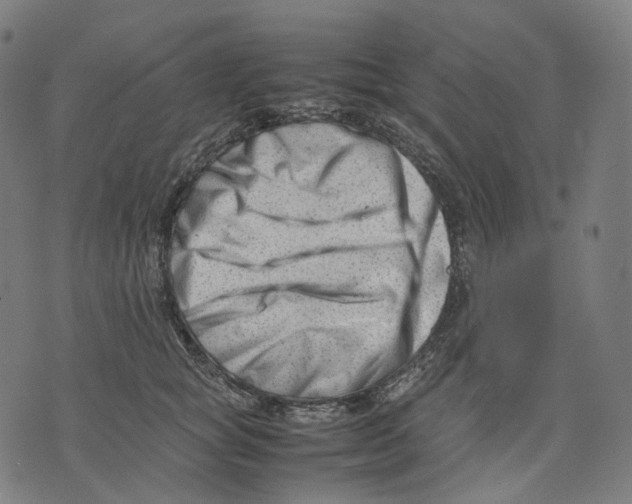 X0000074210757200609151556