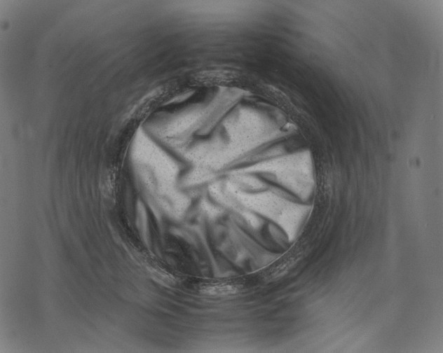 X0000074210759200609151556