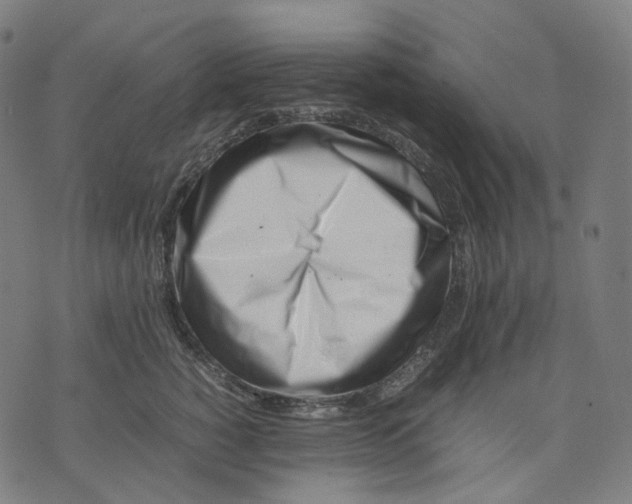 X0000074210760200609151556