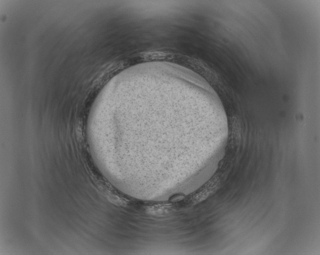 X0000074210761200609151556