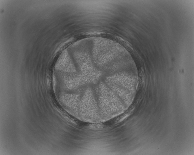 X0000074210762200609151556