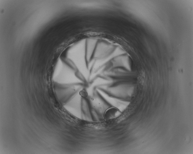 X0000074210763200609151556