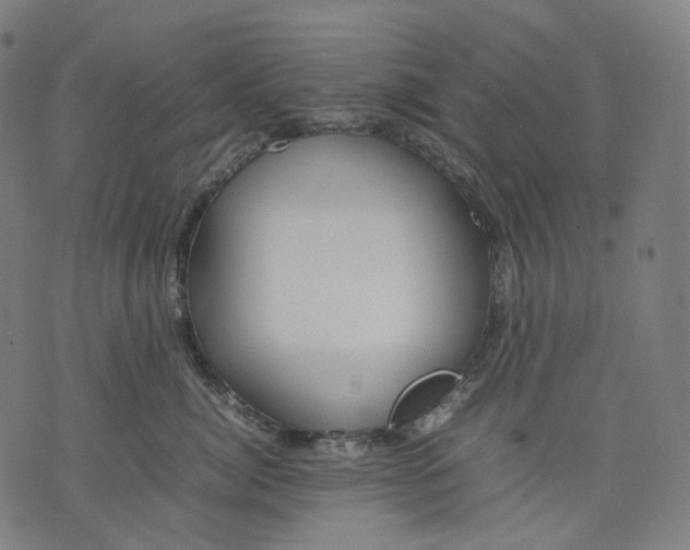 X0000074210764200609151556