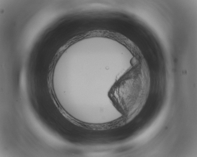 X0000074210765200609151556