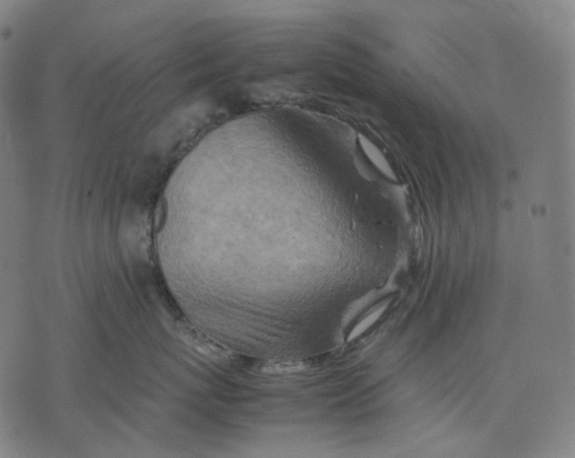 X0000074210767200609151556