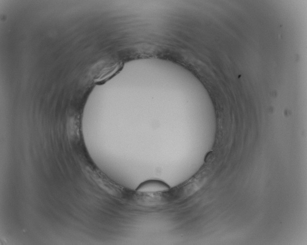 X0000074210768200609151556