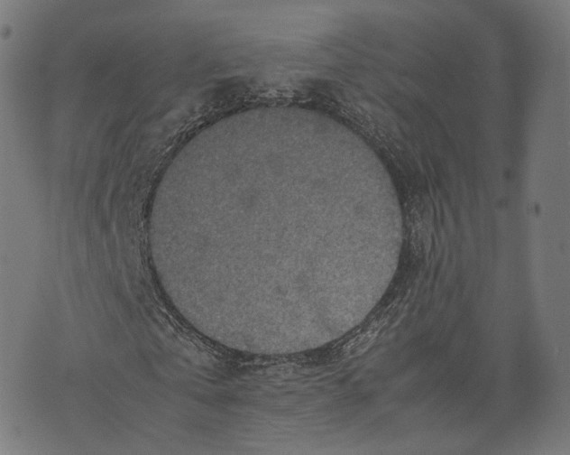 X0000074210769200609151555