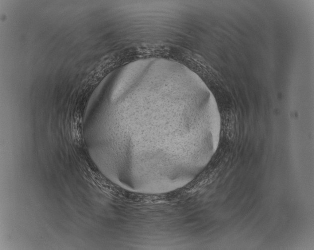 X0000074210770200609151555