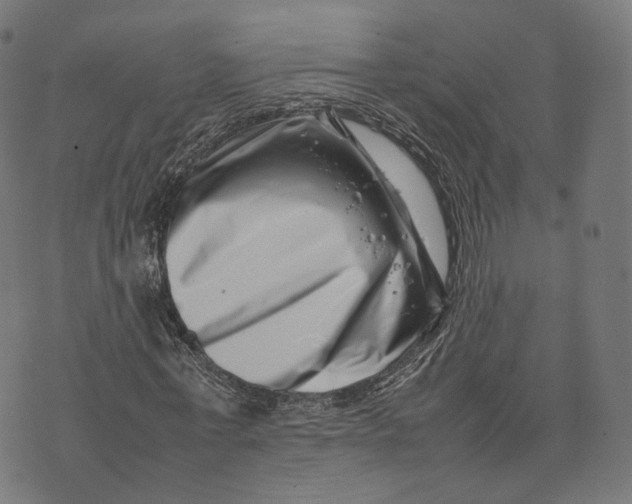 X0000074210771200609151555