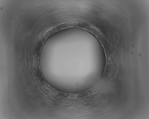 X0000074210773200609151555