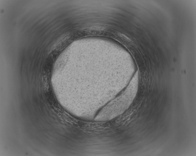 X0000074210774200609151555