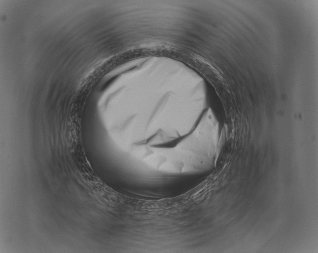 X0000074210776200609151555