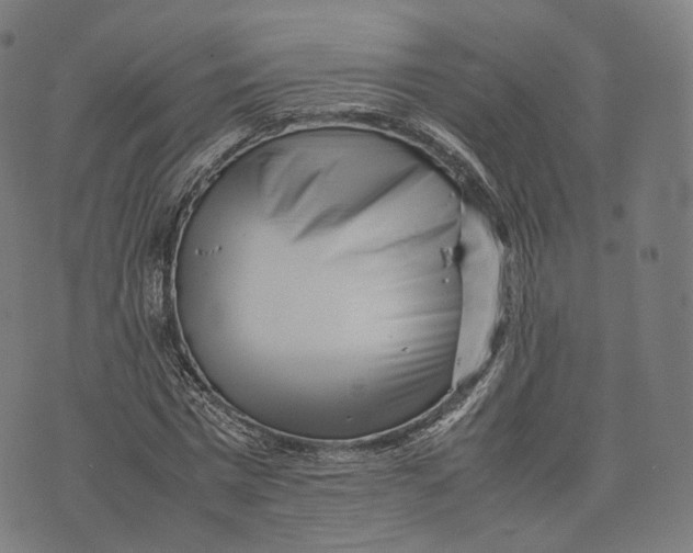 X0000074210777200609151555