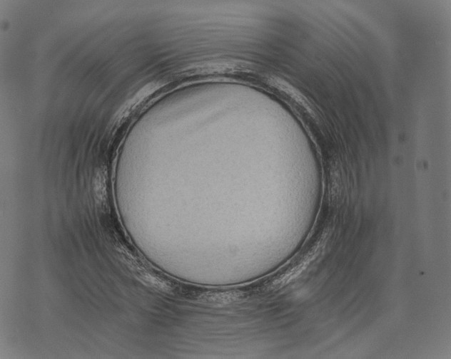 X0000074210778200609151555