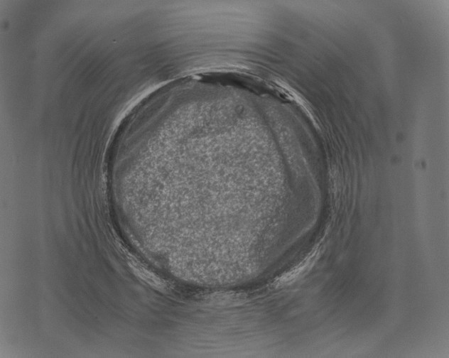 X0000074210779200609151555