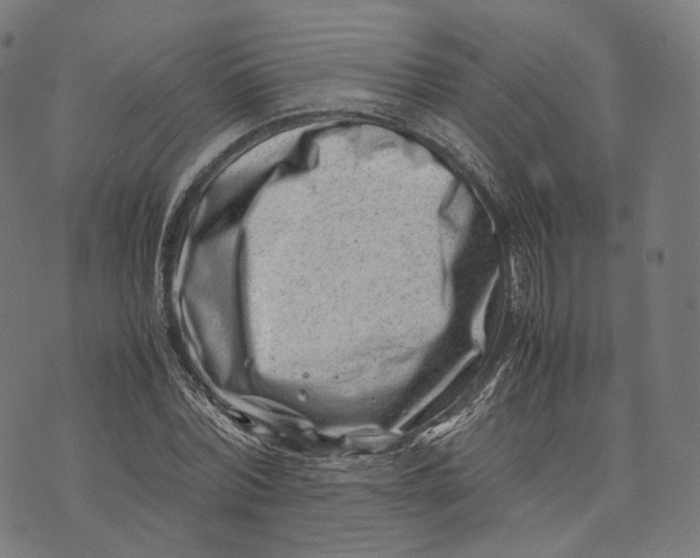 X0000074210780200609151555