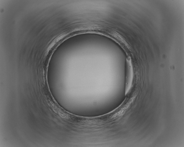 X0000074210781200609151555