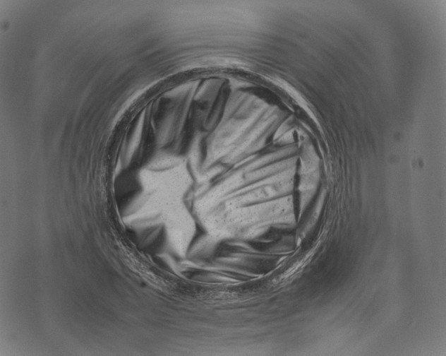 X0000074210783200609151555