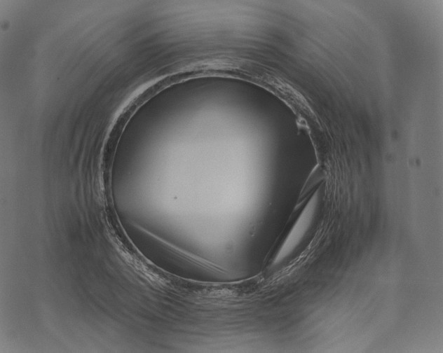 X0000074210784200609151555