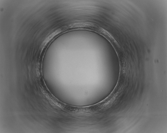 X0000074210786200609151555