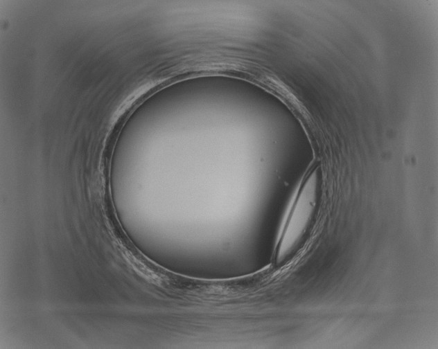 X0000074210787200609151555