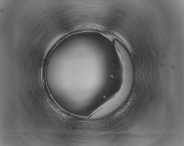 X0000074210788200609151555