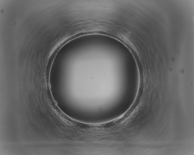 X0000074210789200609151555