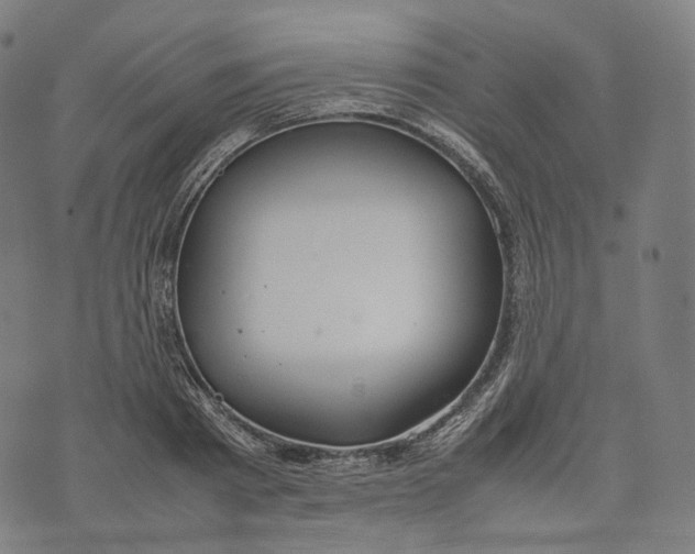 X0000074210793200609151555