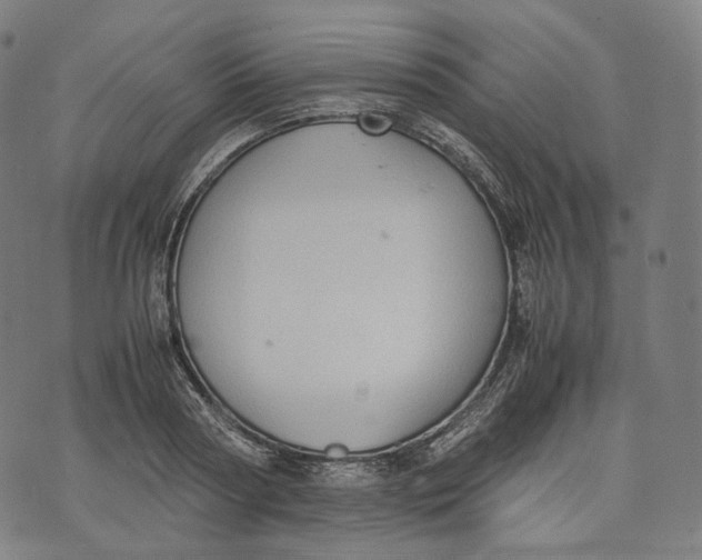 X0000074210794200609151555