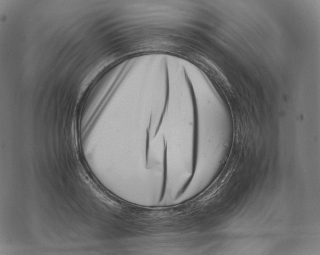 X0000074210796200609151555