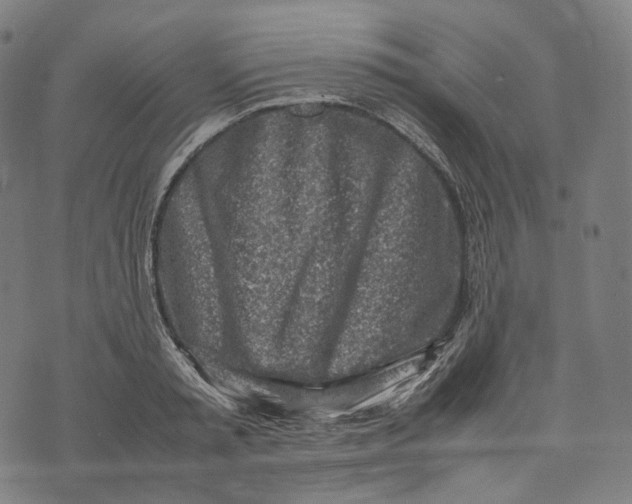 X0000074210797200609151555