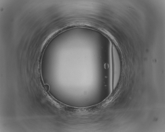 X0000074210799200609151555