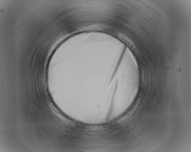 X0000074210800200609151555