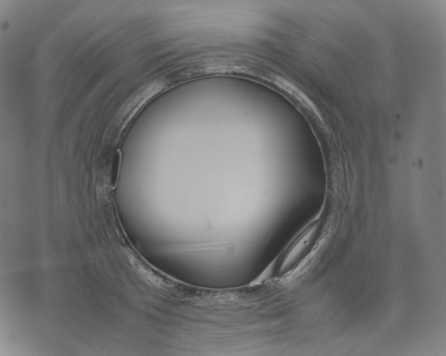 X0000074210801200609151555