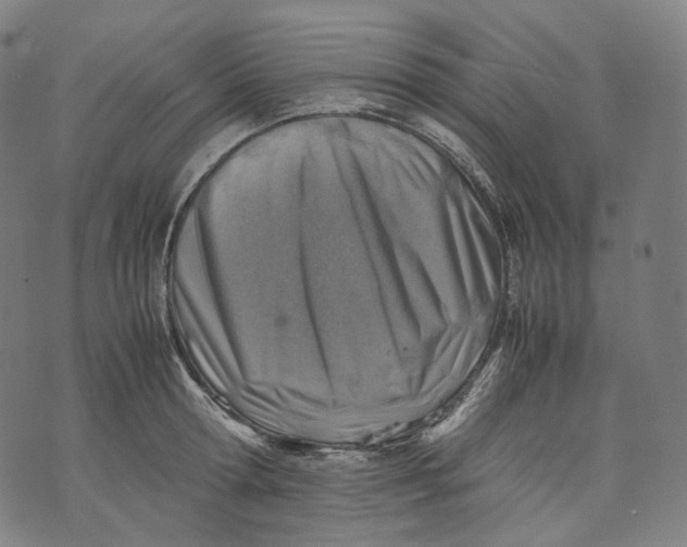 X0000074210802200609151555