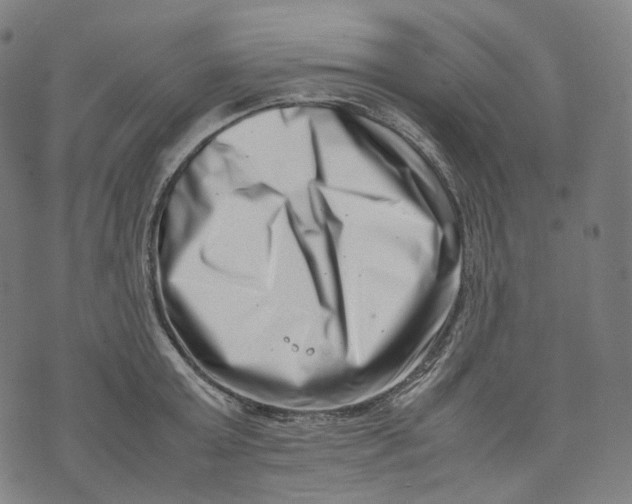 X0000074210803200609151555