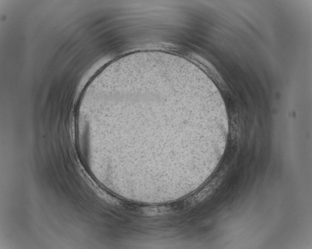 X0000074210804200609151555