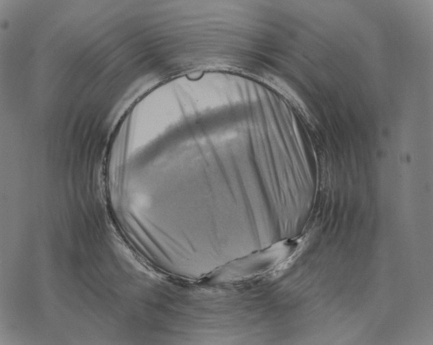 X0000074210806200609151555