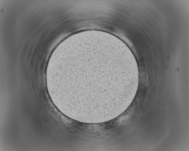 X0000074210807200609151555