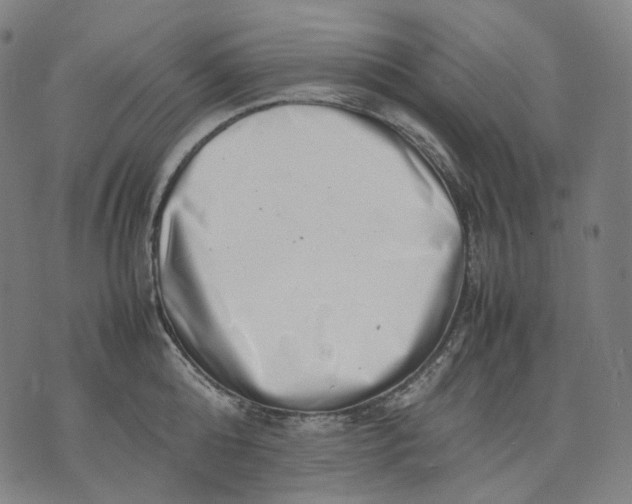 X0000074210808200609151555