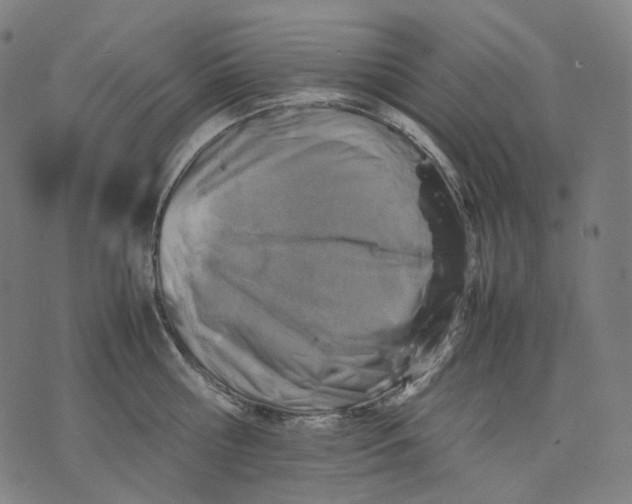 X0000074210810200609151555