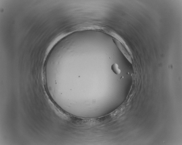 X0000074210811200609151555