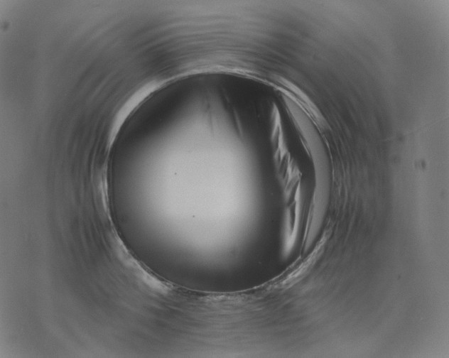 X0000074210812200609151554