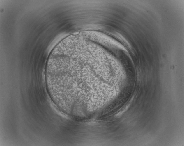 X0000074210814200609151554