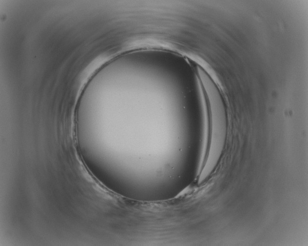 X0000074210815200609151554